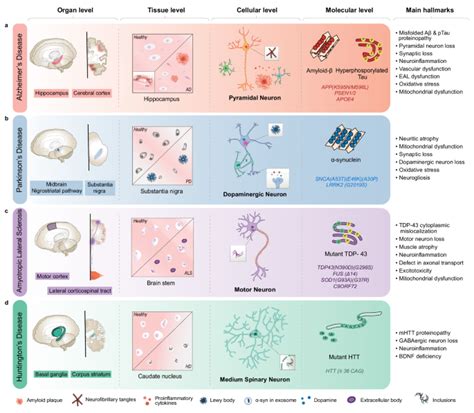 rfid chip changes dna|Neuropathogenesis.